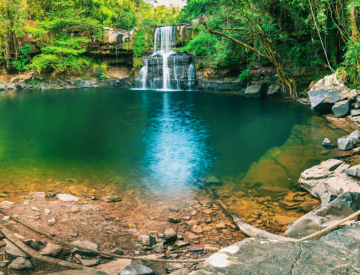 رحلة في مدينة تبوك